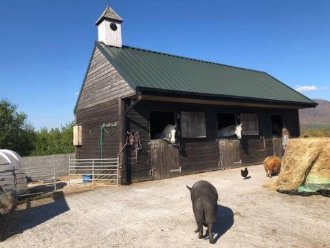 Letterfrack Farmhouse On Equestrian Farm In Letterfrack Beside Connemara National Park Tullywee Bridge Exterior foto